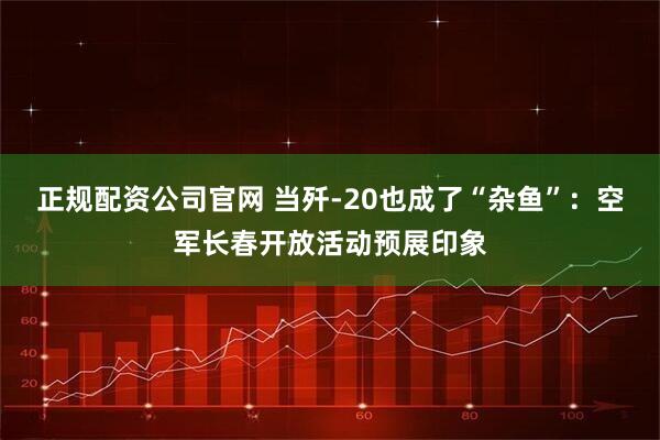正规配资公司官网 当歼-20也成了“杂鱼”：空军长春开放活动预展印象