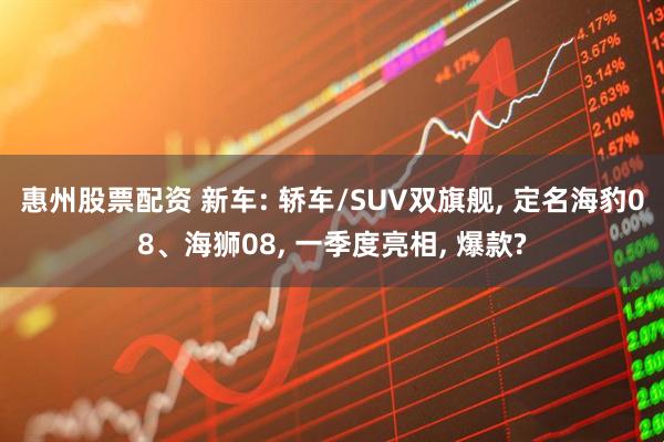 惠州股票配资 新车: 轿车/SUV双旗舰, 定名海豹08、海狮08, 一季度亮相, 爆款?